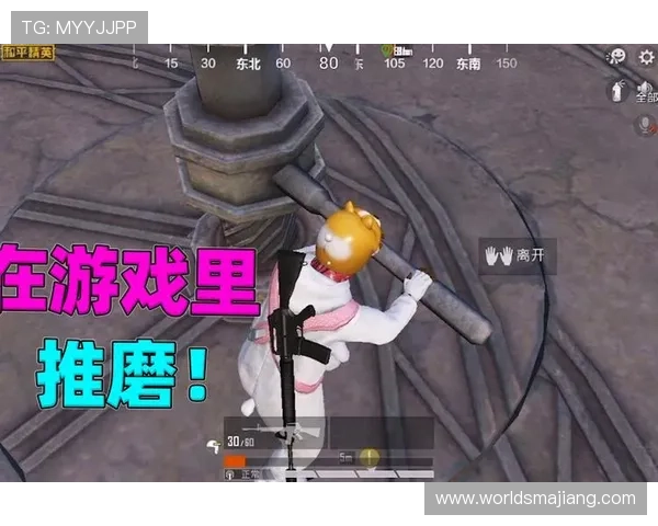 畅享AG真人网登录线路的多样化游戏选择与玩法